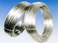 ����ֹ���˿