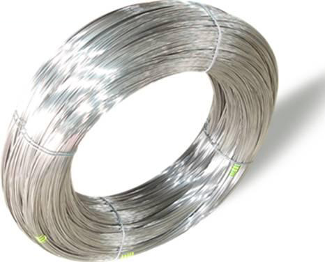 ����ֹ���˿